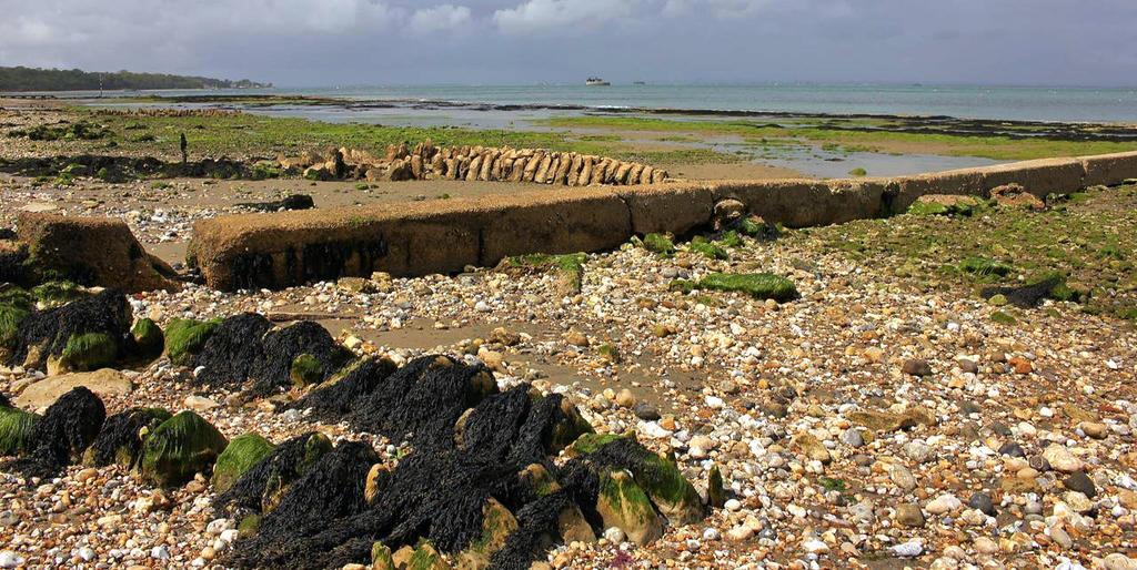 The Crab And Lobster Inn Bembridge Extérieur photo